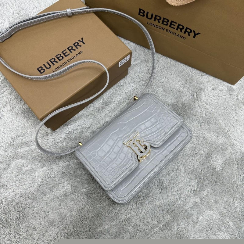 B**rry satchel bags